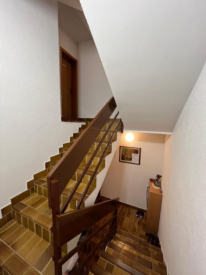 Beautiful Sea View Apartments - Niko Ceko Vrsar Eksteriør billede